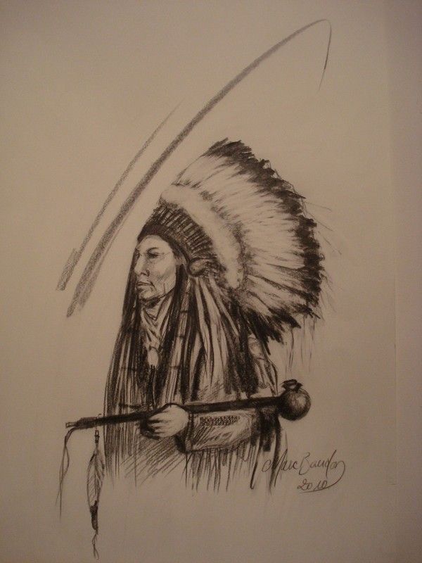 High Hawk. Crayon. 28/11/2010.